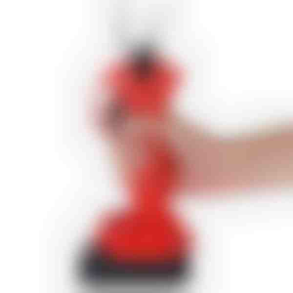 WHIZZPRUNER4
